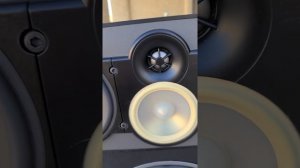 High-End ( Paradigm )