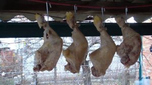 Варено - копченое мясо птицы (курицы, гуся, окорочков, крылышек...)