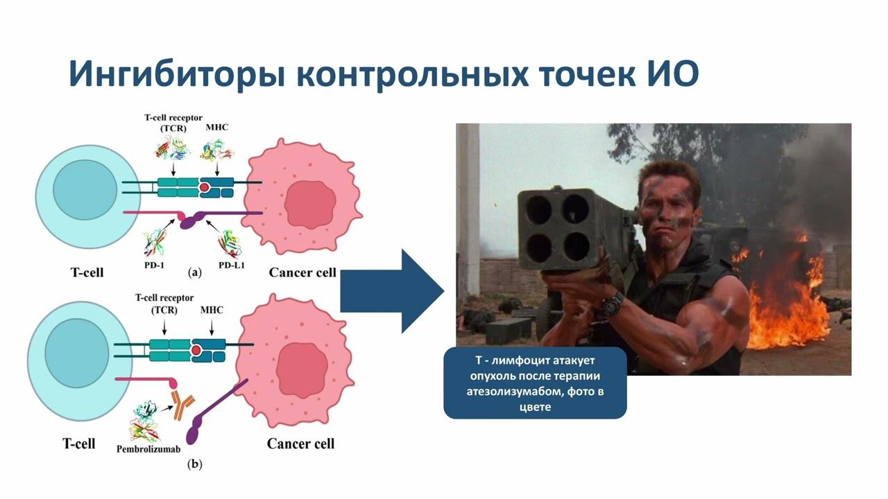 Преимущества терапии атезолизумаба в раке легкого