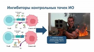 Преимущества терапии атезолизумаба в раке легкого