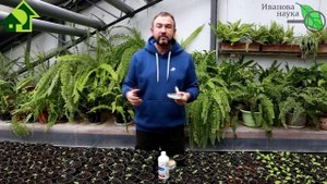 ФИТОСПОРИН АС. Сенная палочка+триходерма. Свадьба или развод? Поженили ли двух врагов всех болезней