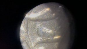 Levenhuk Labzz M4 3D Stereo Microscope | Mini Review