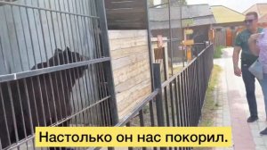 Поездка в Зоопарк «Баба Фрося»