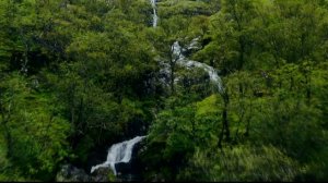 Непростые судьбы| Почему не любит муж| Прислушивайтесь к своим детям.