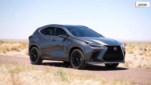 Новый Lexus NX 350 AWD 2022 - компактный внедорожник премиум-класса