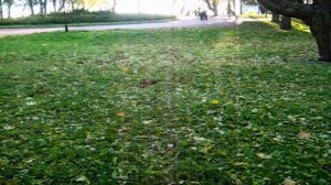 ФЛОРИДА ЯЛТА НАСТОЯЩАЯ ПРИЧИНА ПОИСКА ЖЕНИХА