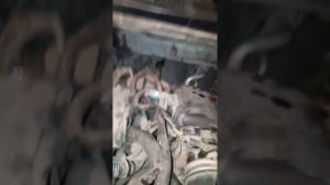 Как слить бензин с иномарки