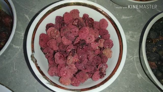 Лакомства и вкусняшки для шиншилл.