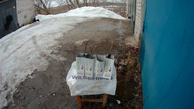 ВЕСНА ПРИШЛА