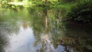 Зеленый ключ в заповедных местах Марий Эл рядом с Кленовой горой