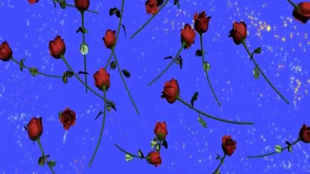 Футаж Розы с фейерверком (1) Footage Roses with fireworks (1) смотреть онлайн