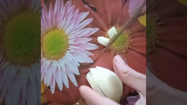 Салат из свеклы с маринованными грибами