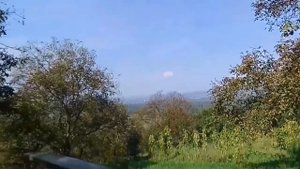 ?Закарпатський Сливовий Леквар.?Хіт Осіннього Сезону. Закарпатський Діалект.?