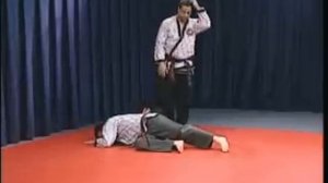 Hapkido Basic Straight Techniques