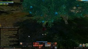 ArcheAge 1.7 - Акхиумные деревья (изменения)