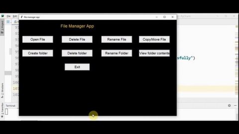 Python file manager app