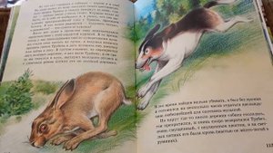 Михаил Пришвин. РАССКАЗЫ О ЖИВОТНЫХ. "Пиковая Дама".
