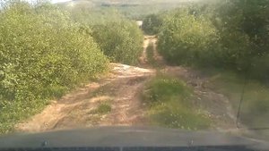 Pontiac Vibe avd off-road