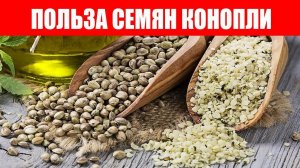 Конопля Суперфуд. Польза и Как Упортреблять Семена Конопли