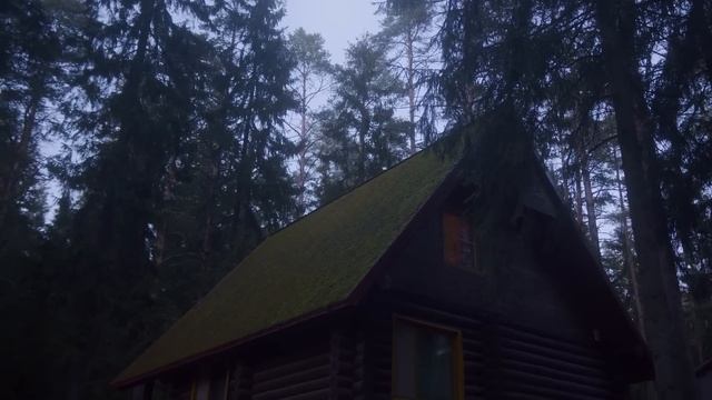 Получив в наследство старый бабушкин дом, молодой врач ночью вмиг стал седым от увиденного в нём... смотреть онлайн