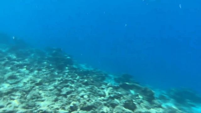 ЛУЧШЕЕ ПРОЗРАЧНОЕ МОРЕ В ТУРЦИИ! / ПРОГУЛКА ПО ЭГЕЙСКИМ ОСТРОВАМ !