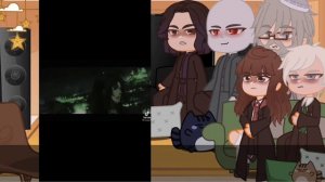 Реакция на прошлую жизнь Гарри |Гарри Поттер |