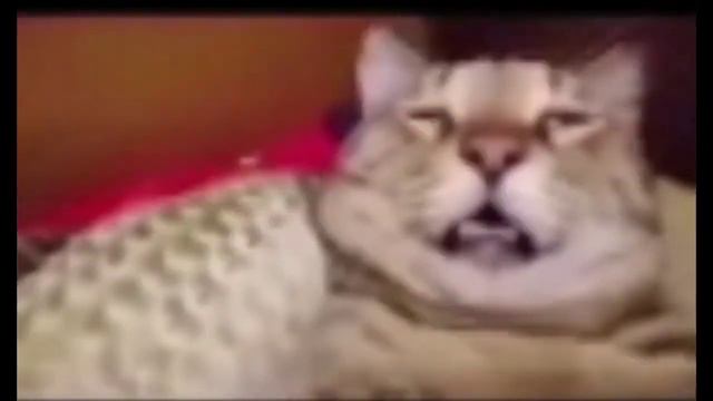 Критическое повреждение двигателя движения невозможно