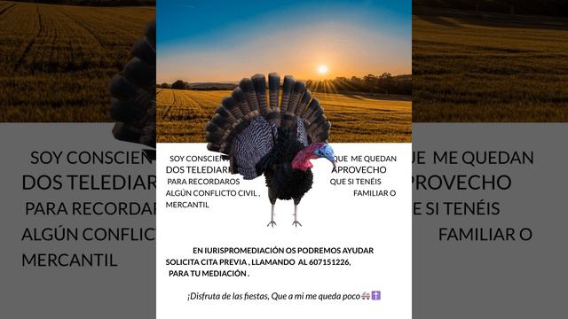 IURISPROMEDIACIÓN OS DESEA UNA FELIZ NOCHEBUENA