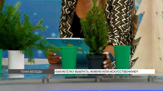 Какую елку выбрать: живую или искусственную? смотреть онлайн