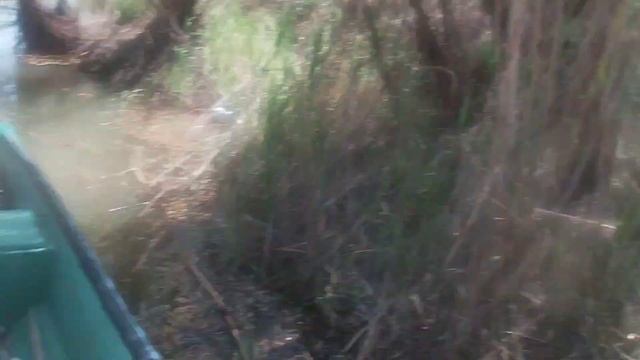 Ловля Воблы 2021год . Красса , Житное , Нижняя Волга.Часть 2. смотреть онлайн