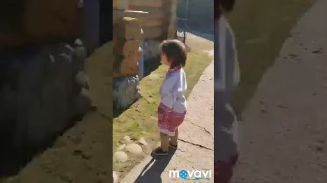 Сказка сестрица Аленушка и братец Иванушка