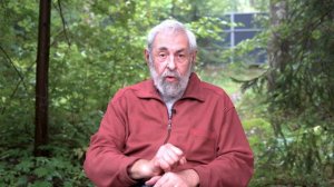 Возвращение к футболу. А.Нилин