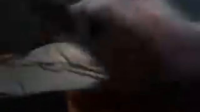 Бультерьер самая опасная собака