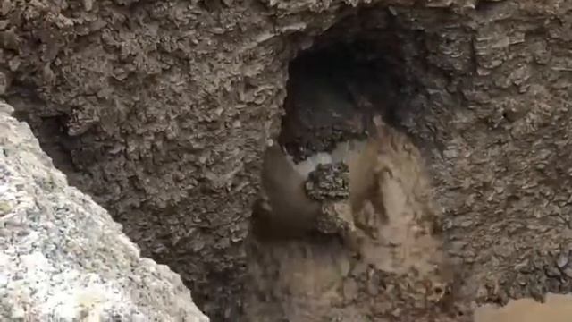 скальный грунт ГНБ смотреть онлайн