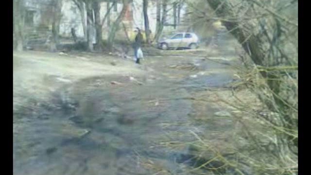 Ковров весной: дохлые кошки и вода по асфальту рекой