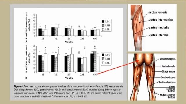 Как активировать ягодичные мышцы в жиме ногами. смотреть онлайн