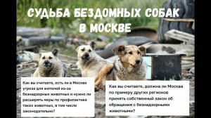 Тестовое голосование перед выборами в Мосгордуму 2024. Вопросы про бездомных собак!