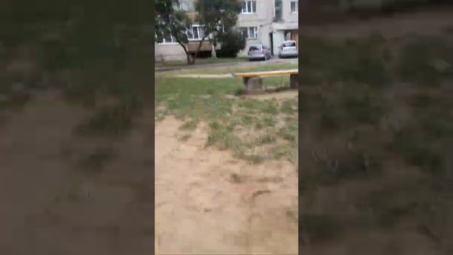 Мы катаемся на качелях смотреть онлайн