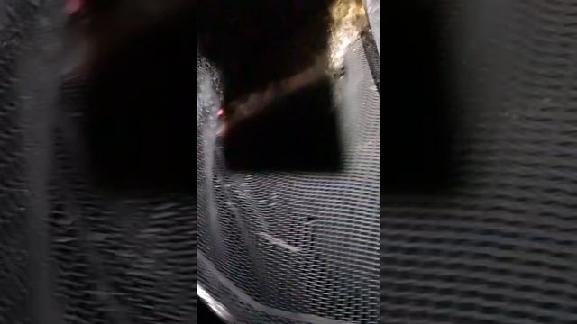 Рыбалка на Волге. Поймал-Отпусти. Отпускаем судака - задесятку