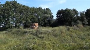 Поиск деревни Елисеевка