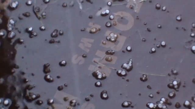 Куда бежишь, тропинка милая, с цифрами смотреть онлайн