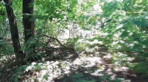 Обзор пляжа санатория им. Горького в Воронеже