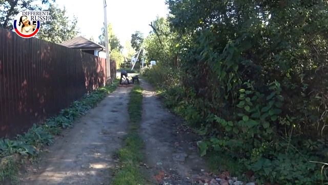 Russian Dacha: Who Took our Bricks? Ready for Winter смотреть онлайн