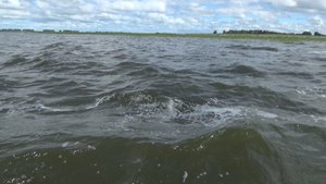 Лодка Южанка 2 покатушки на болоте