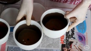 DIY Переделка старых цветочных горшков, кашпо / Alteration of old flower pots / Творческое место