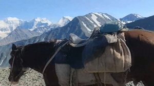 Алтай. Перевал Кара-Тюрек. Долина Ярлу. Гора Белуха. Поход к подножию