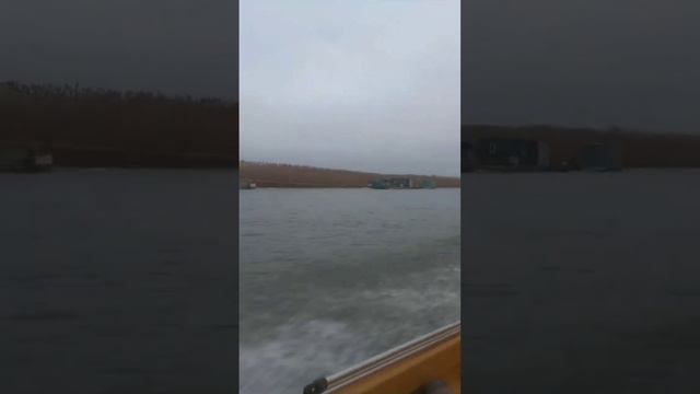 Рыбалка в Астрахани, 4 декабря, промысловики  закрыли сезон. #топ#fishing#рыбалка#кайф#топчик#short