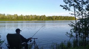 ФИДЕРНАЯ РЫБАЛКА 2021 В НАЧАЛЕ ИЮНЯ НА РЕКЕ ВЕТЛУГА  КЛЁВ ГУСТЕРЫ