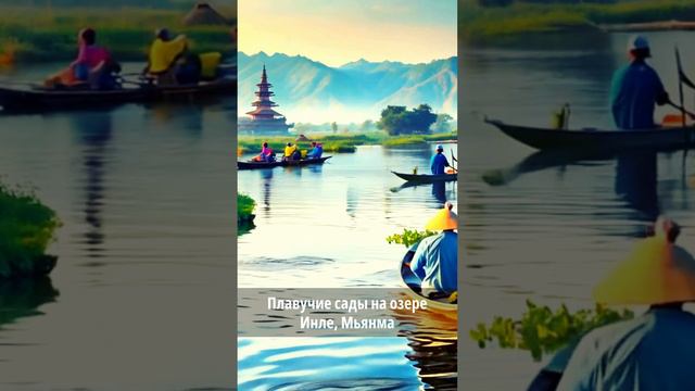Плавучие сады на озере Инле, Мьянма. #красота #природа #путешествия