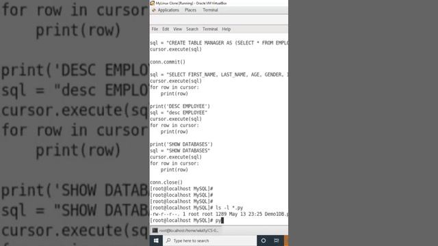 Python MySQL DB